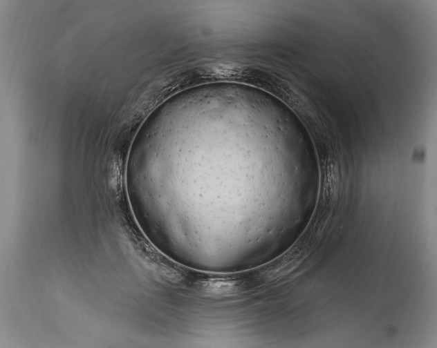 X0000114200651200910231344