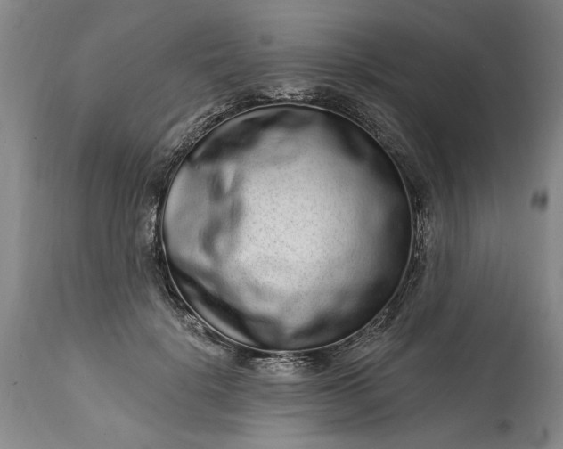 X0000114200652200910231344