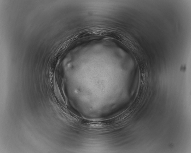 X0000114200653200910231344