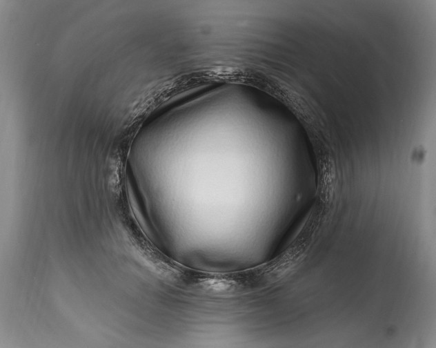 X0000114200654200910231344