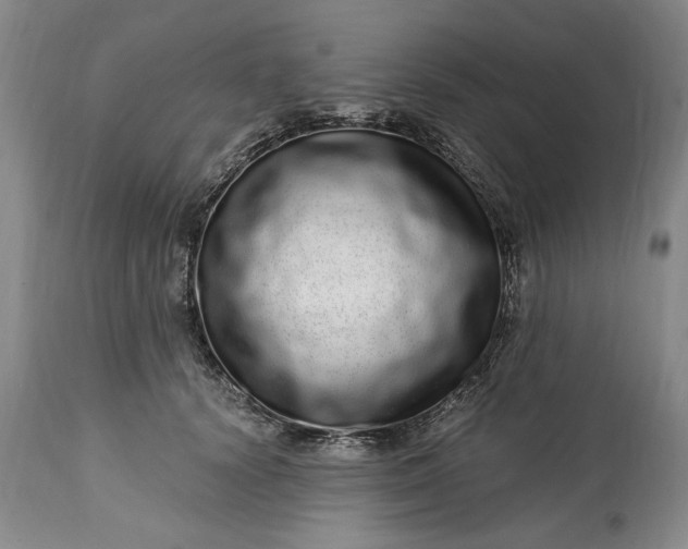 X0000114200656200910231344