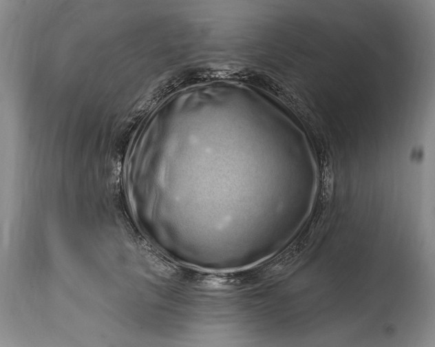 X0000114200657200910231345