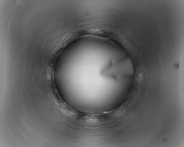 X0000114200658200910231345