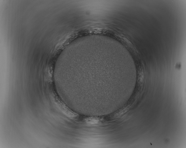 X0000114200661200910231345