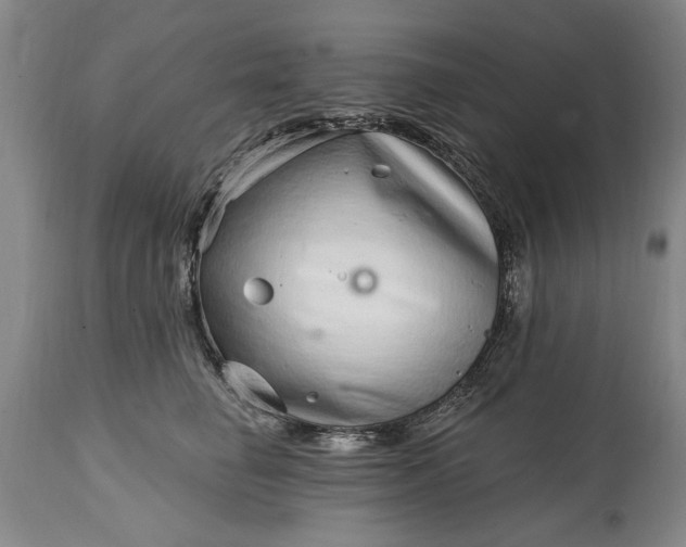 X0000114200662200910231345