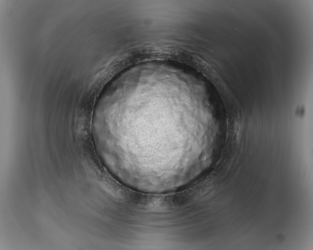 X0000114200663200910231345