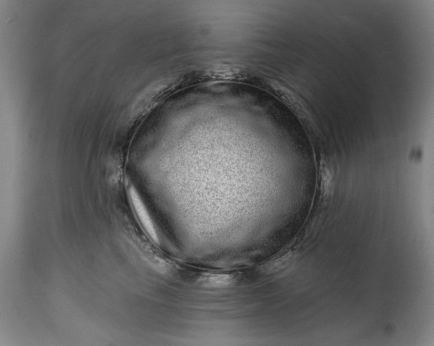 X0000114200665200910231345