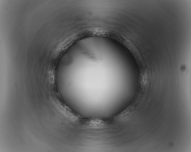 X0000114200666200910231345