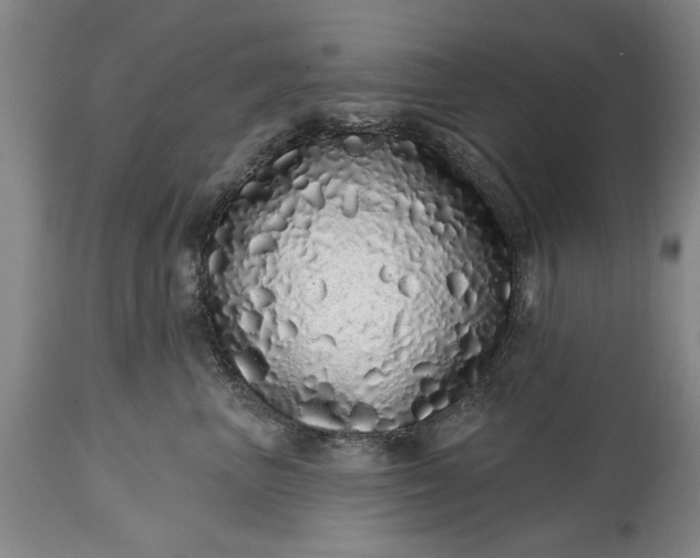 X0000114200667200910231345