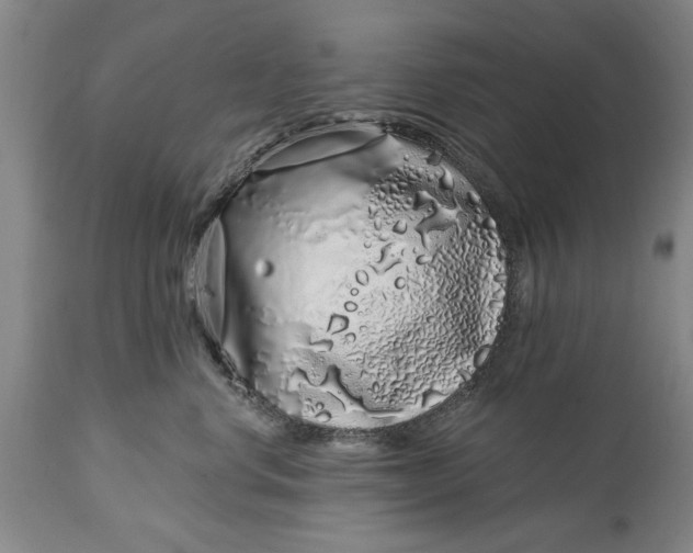 X0000114200668200910231345