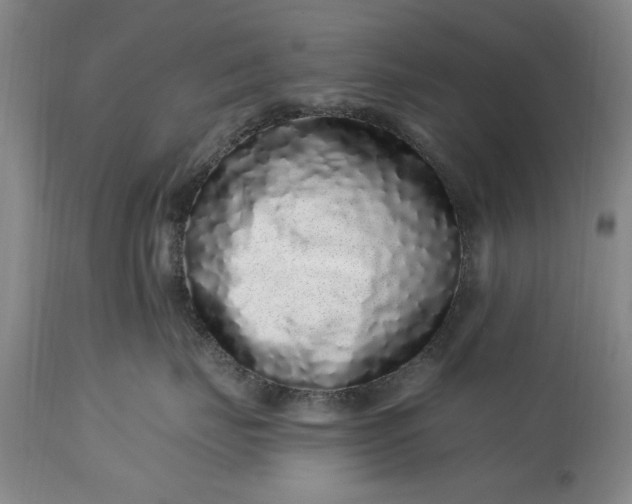 X0000114200671200910231345