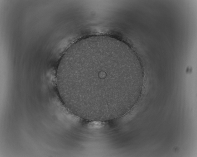 X0000114200672200910231345