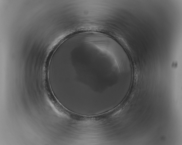 X0000114200674200910231344