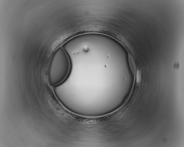 X0000114200675200910231344