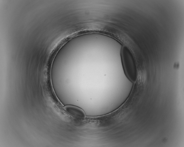 X0000114200676200910231344