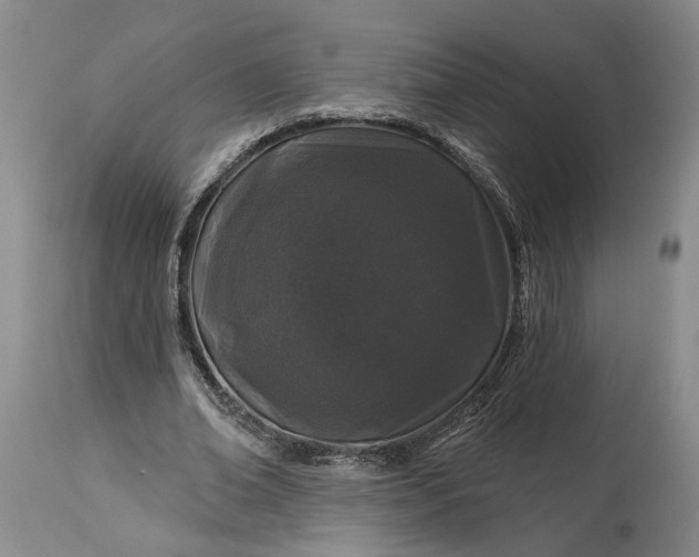 X0000114200678200910231344