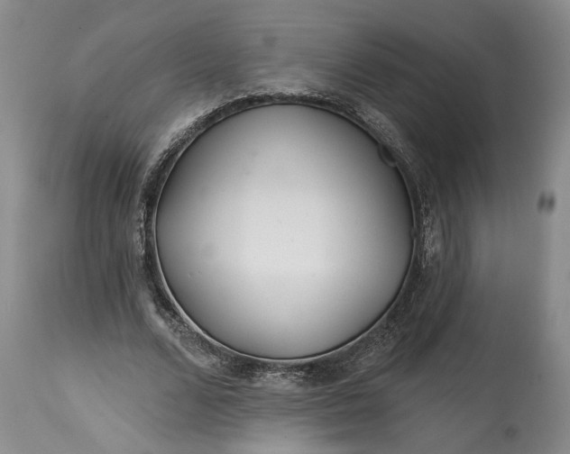 X0000114200680200910231344