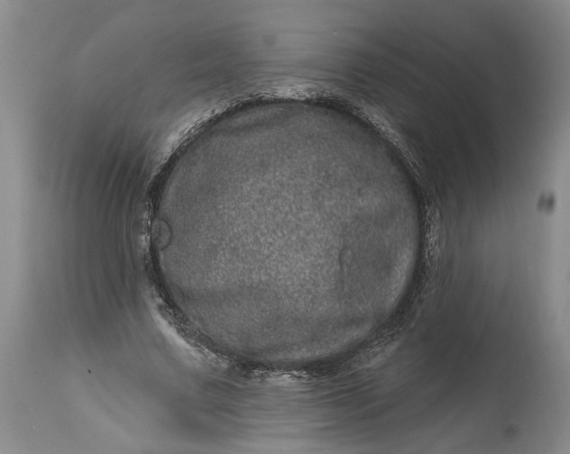 X0000114200683200910231344