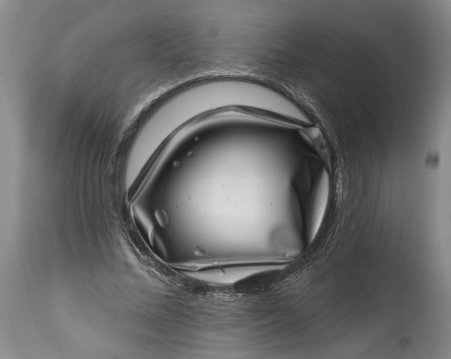 X0000114200684200910231344