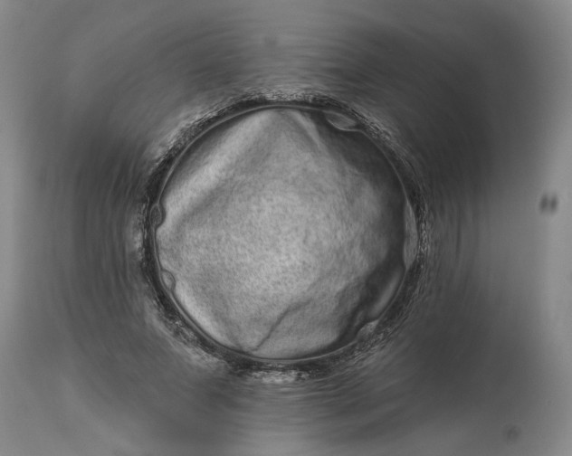 X0000114200687200910231344