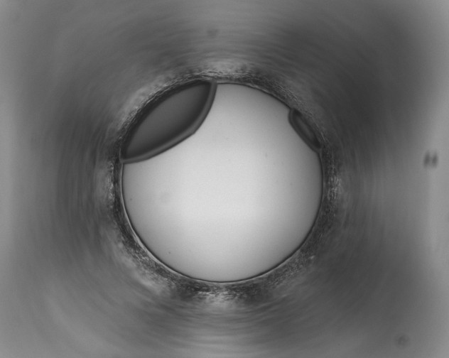 X0000114200688200910231344