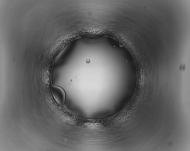 X0000114200689200910231344