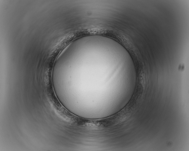 X0000114200690200910231344