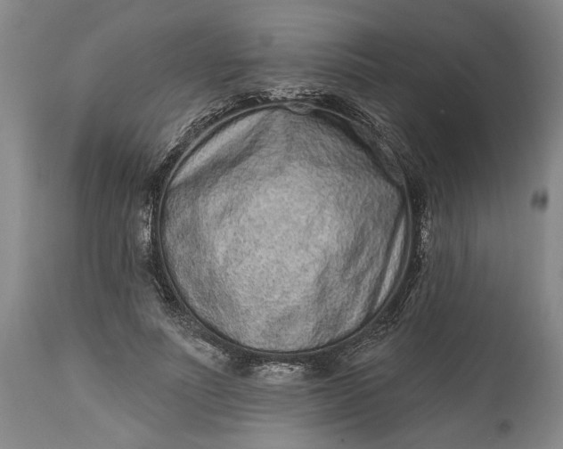 X0000114200691200910231344