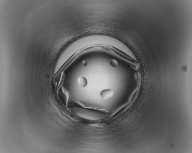 X0000114200692200910231344