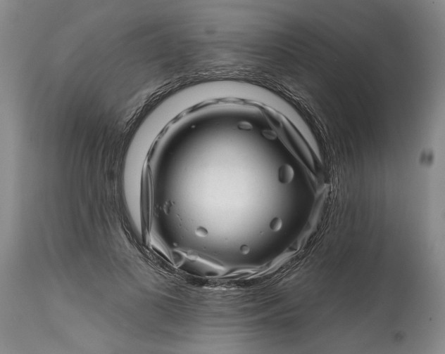 X0000114200693200910231344