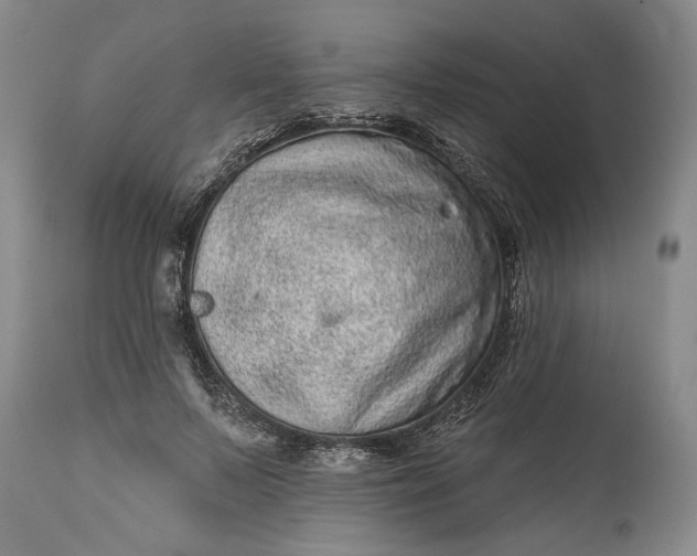 X0000114200695200910231344