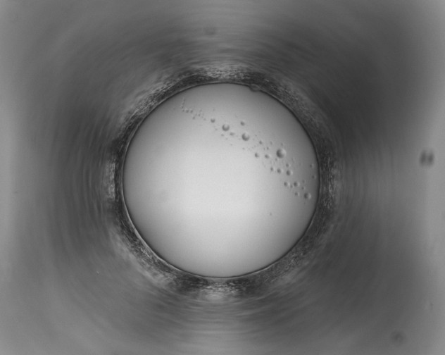 X0000114200696200910231344