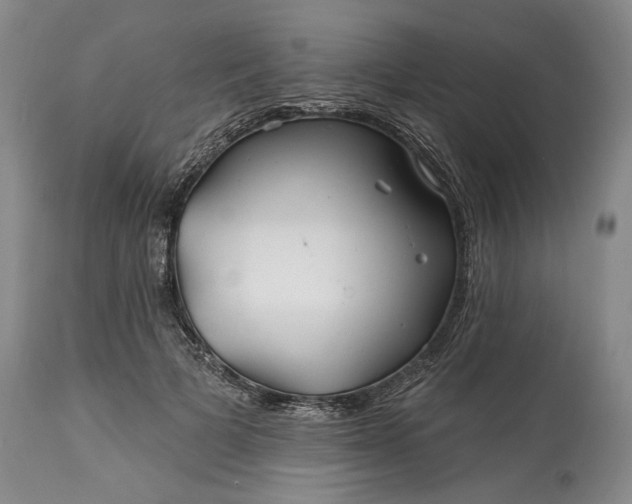 X0000114200697200910231344