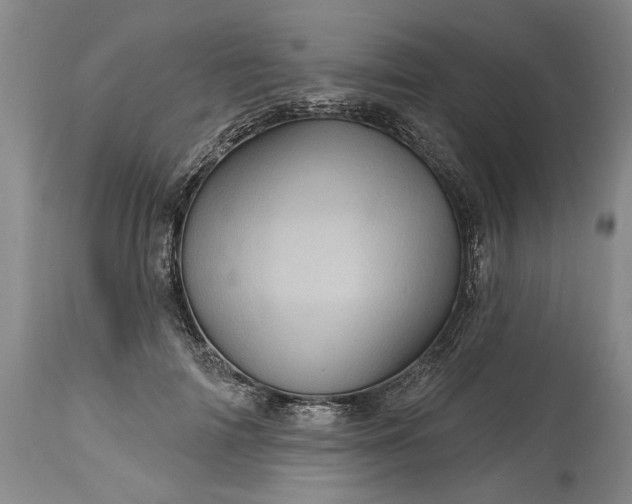 X0000114200698200910231344