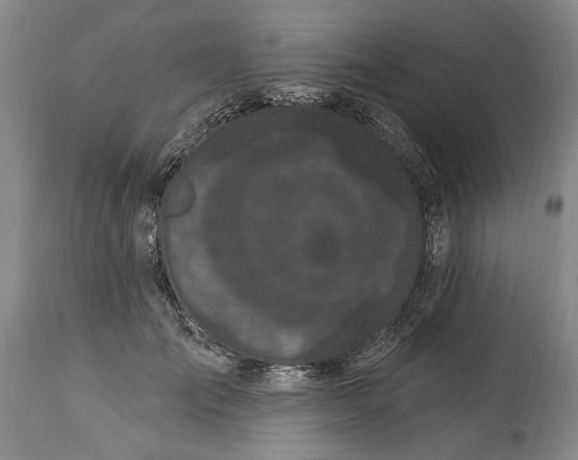 X0000114200701200910231344