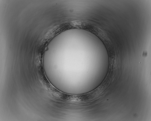 X0000114200702200910231344