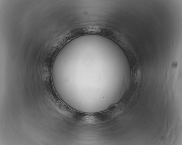 X0000114200704200910231344