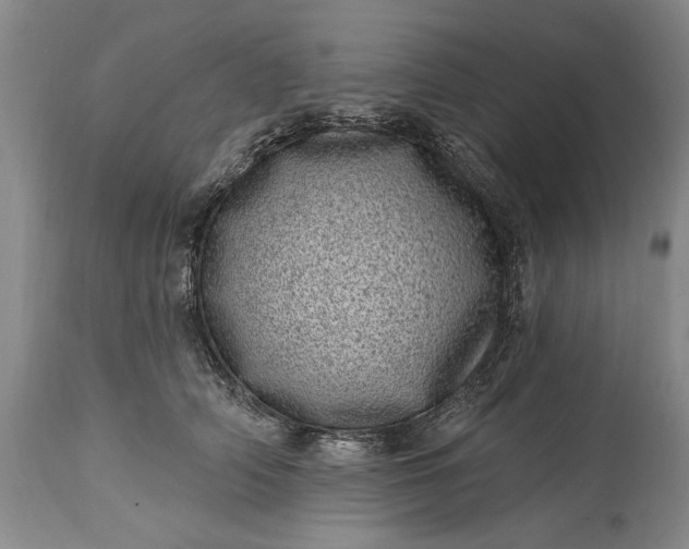 X0000114200706200910231344