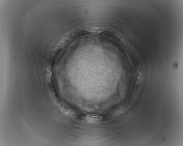 X0000114200707200910231344