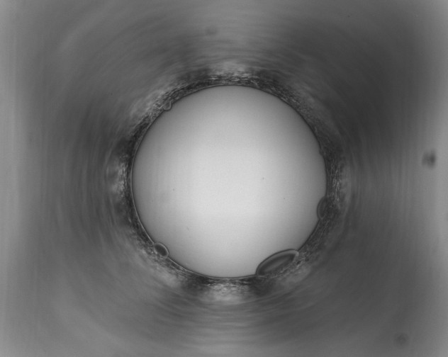 X0000114200708200910231344