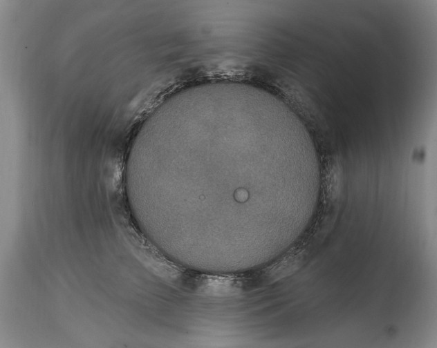 X0000114200709200910231344