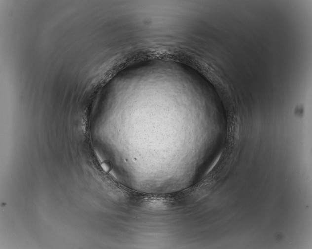 X0000114200710200910231344