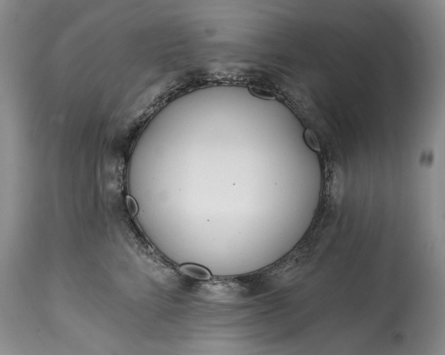 X0000114200712200910231343