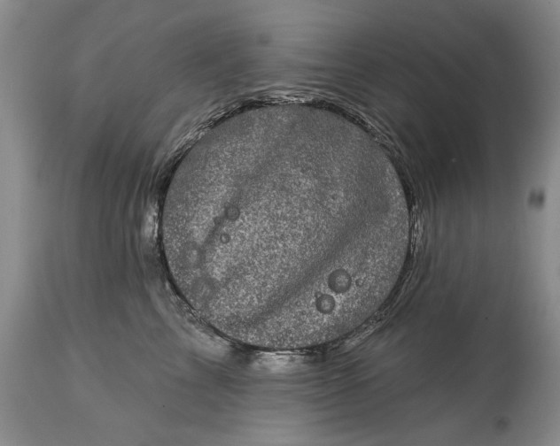 X0000114200713200910231343