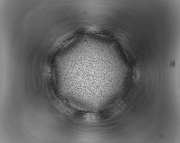 X0000114200714200910231343