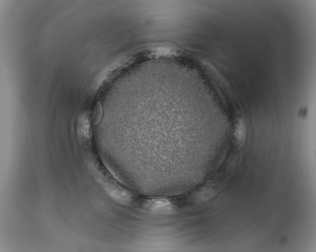 X0000114200715200910231343