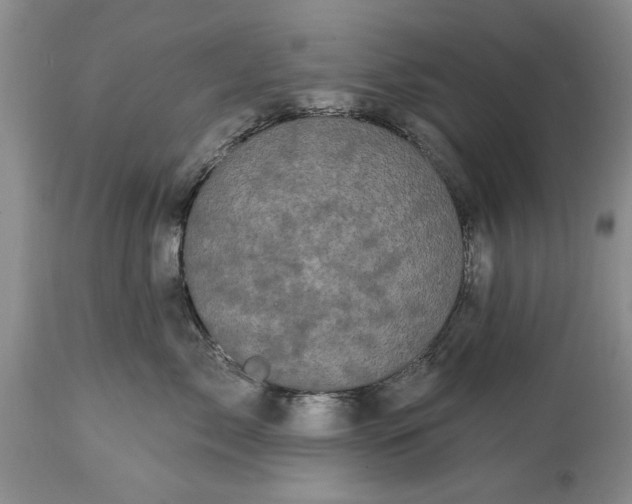 X0000114200717200910231343