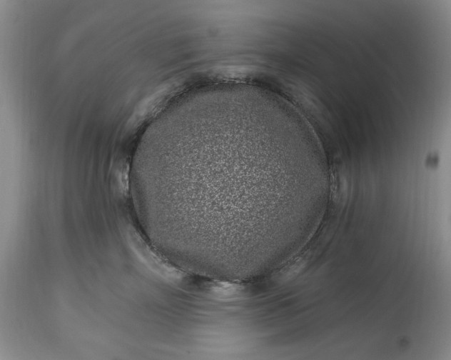 X0000114200718200910231343