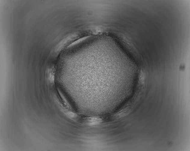 X0000114200719200910231343