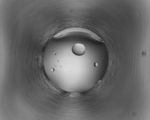 X0000114200720200910231343